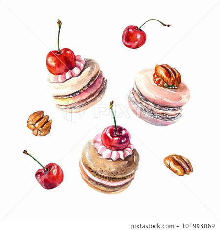 Watercolor macaroons with cherries and pecans isolated on white background. Hand drawn illustration of popular crunchy dessert for cafe decoration. Sweets klipart. 101993069