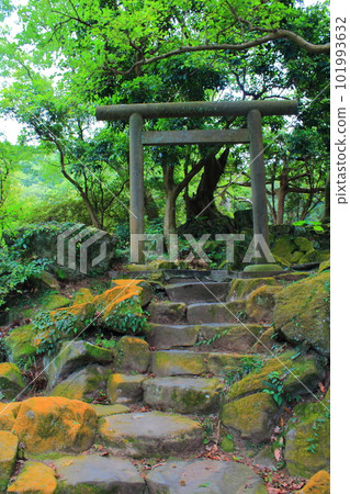 陽明山 101993632