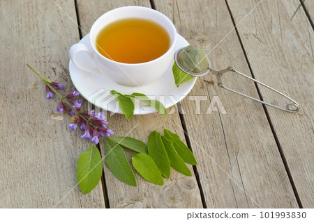 Fresh green sage bunch closeup. Healthy sage herbal tea cup, green leaf of salvia officinalis and tea kettle on wooden table. Fresh green sage bunch closeup. Healthy sage herbal tea cup, green leaf of salvia officinalis and tea kettle on wooden table. 101993830