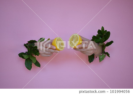 Two pieces of lemon in the hands of a girl, on a pink background Two pieces of lemon in the hands of a girl, on a pink background 101994056
