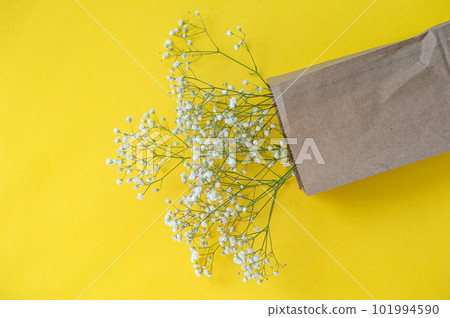A bouquet of small gypsophila flowers in an eco bag on a yellow table Background with space for text A bouquet of small gypsophila flowers in an eco bag on a yellow table Background with space for text 101994590