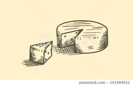 A head of cheese and a sliced piece hand drawn sketch vector illustration. A head of cheese and a sliced piece hand drawn sketch vector illustration. 101994632