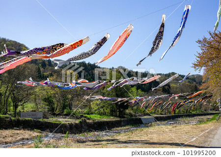 高瀨川和鯉魚旗 101995200