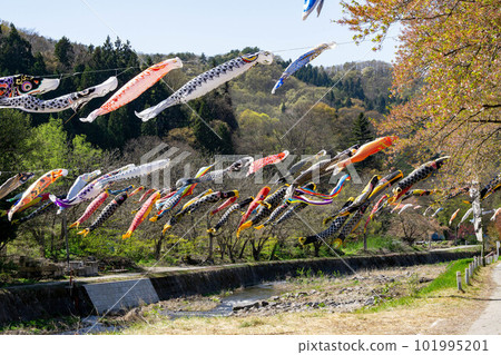 Takase River and carp streamer 101995201
