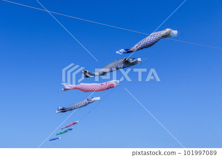 鯉魚幡迎春風飄揚 101997089