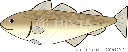 可愛的鱈魚插畫 101999041