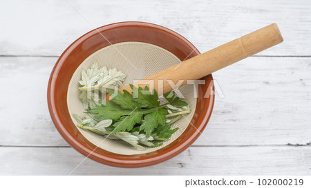 Image of mashing mugwort in a mortar 102000219