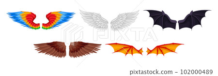 Colorful Wings of Different Flying Creature Vector Set 102000489