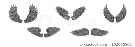 Heraldic Wings with Feathers Isolated on White Background Vector Set Heraldic Wings with Feathers Isolated on White Background Vector Set 102000502
