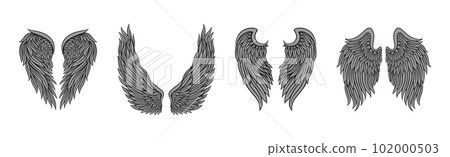 Heraldic Wings with Feathers Isolated on White Background Vector Set 102000503
