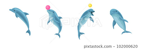 Blue Dolphin as Aquatic Mammal with Streamlined Body and Flippers Playing Ball Vector Set 102000620