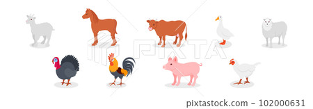 Farm Animal with Goat, Horse, Cow, Sheep and Poultry Vector Set 102000631