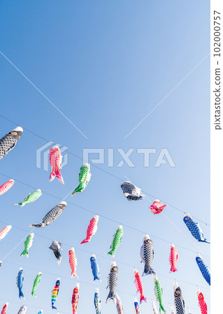 Carp streamers blowing in the spring breeze and shining in the blue sky 102000757