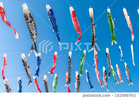 鯉魚幡迎春風吹，照耀藍天 102000763