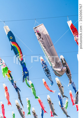 Carp streamers blowing in the spring breeze and shining in the blue sky 102000767