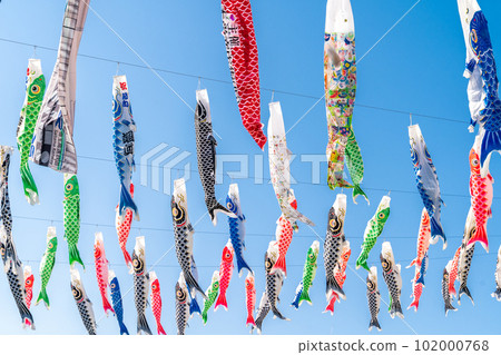 鯉魚幡迎春風吹，照耀藍天 102000768