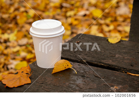 Eco zero waste white paper cup copy space mockup in wooden bench in park. Fall leaves and cup of tea coffee to go next to autumn nature. Unite with nature Eco zero waste white paper cup copy space mockup in wooden bench in park. Fall leaves and cup of tea coffee to go next to autumn nature. Unite with nature 102001656