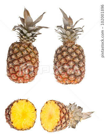 Whole and half pinapple 102001896