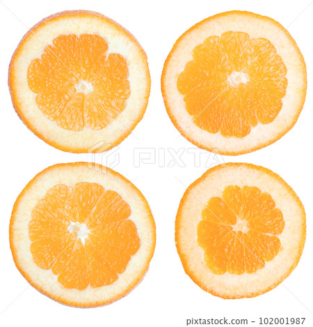 Orange slices 102001987