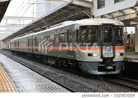 [JR東海]雨中的373系“藤川”（東海道本線：靜岡站） 102003089