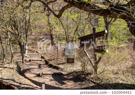 春天的赤城山，荒山高原的登山路 102004481