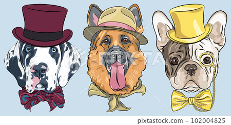 vector Set 14 of cartoon dogs 102004825
