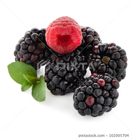 Raspberry with blackberry Raspberry with blackberry 102005704