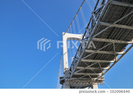 仰望藍天閃耀的彩虹橋 102006840