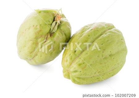 Chayote Chayote 102007209