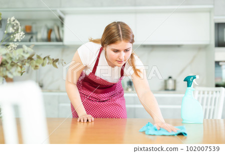 Smiling teenage girl in apron using spray and wiping dust on countertop with rag while cleaning modern kitchen Smiling teenage girl in apron using spray and wiping dust on countertop with rag while cleaning modern kitchen 102007539