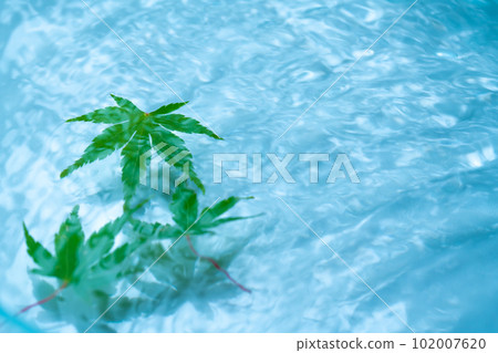 Water surface, blue maple and ripples Water surface, blue maple and ripples 102007620