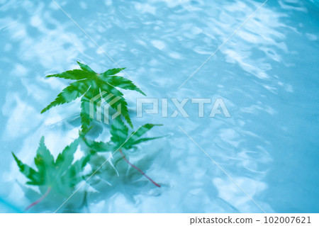 Water surface, blue maple and ripples Water surface, blue maple and ripples 102007621