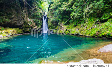 Nikobuchi (Niyodo Blue) 102008741