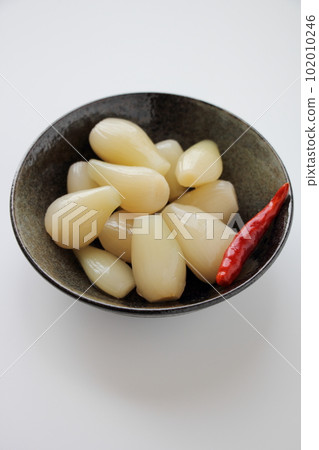 Rakko's sweet and sour pork pickled 102010246