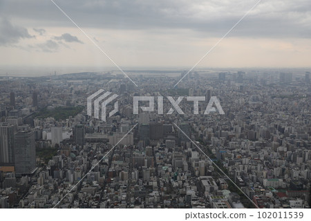 Tokyo 102011539