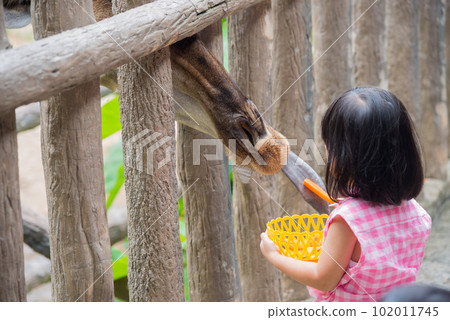 The Giraffe received food from little girl with sweet relationship The Giraffe received food from little girl with sweet relationship 102011745