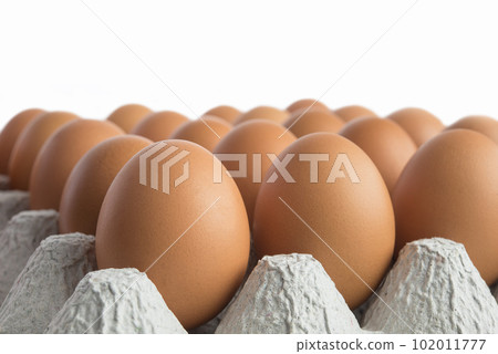 Cardboard tray filled with brown eggs. 102011777