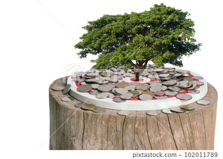 Coin with dart board and tree. Clipping path 102011789