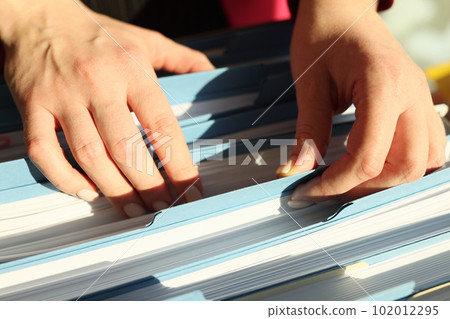Secretary looks for folder with accounting papers in archive Secretary looks for folder with accounting papers in archive 102012295