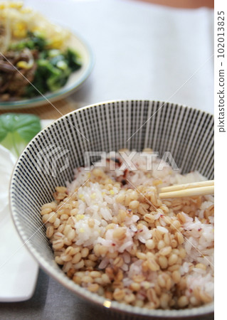Korean traditional healthy food and wellness meal Korean traditional healthy food and wellness meal 102013825