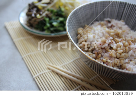 Korean traditional healthy food and wellness meal Korean traditional healthy food and wellness meal 102013859