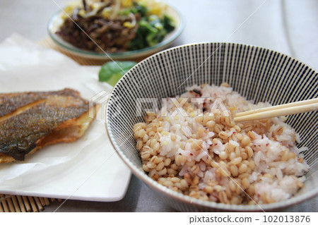 Korean traditional healthy food and wellness meal Korean traditional healthy food and wellness meal 102013876
