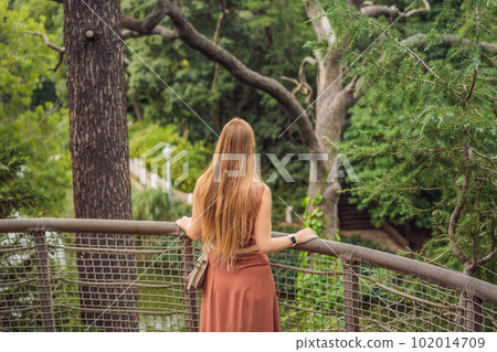 Woman tourist in Rope bridge in Yildiz Park. Besiktas, Istanbul, Turkey. Turkiye Woman tourist in Rope bridge in Yildiz Park. Besiktas, Istanbul, Turkey. Turkiye 102014709