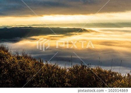 Daikanbo's sea of clouds and autumn leaves in the morning [Aso City, Kumamoto Prefecture] 102014869