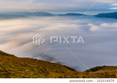 Daikanbo's sea of clouds and autumn leaves in the morning [Aso City, Kumamoto Prefecture] 102014879