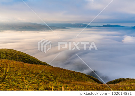 Daikanbo's sea of clouds and autumn leaves in the morning [Aso City, Kumamoto Prefecture] 102014881