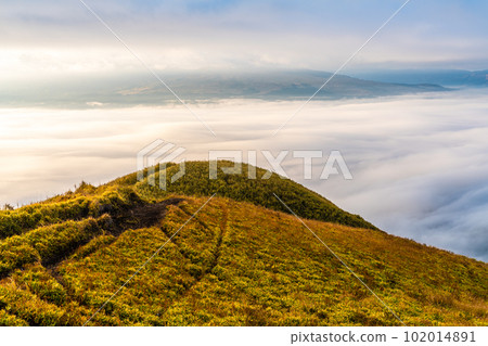 Daikanbo's sea of clouds and autumn leaves in the morning [Aso City, Kumamoto Prefecture] 102014891