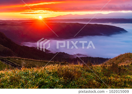 Daikanbo's Sea of Clouds and Autumn Leaves Sunrise [Aso City, Kumamoto Prefecture] 102015009