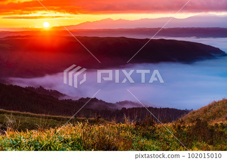 Daikanbo's Sea of Clouds and Autumn Leaves Sunrise [Aso City, Kumamoto Prefecture] 102015010