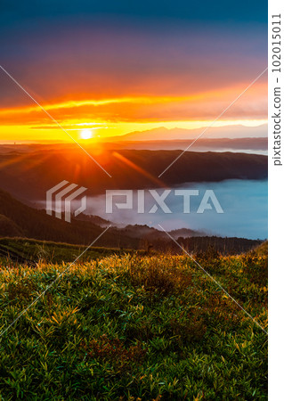Daikanbo's Sea of Clouds and Autumn Leaves Sunrise [Aso City, Kumamoto Prefecture] 102015011